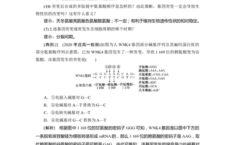 第5章基因突变及其他变异-知识点总结-2021-2022学年高中生物新教材人教版必修2&nbsp;&nbsp;&nbsp;_高中三年全科资料_高中_1高中基础资料包_A-高中必背9科知识点_生物