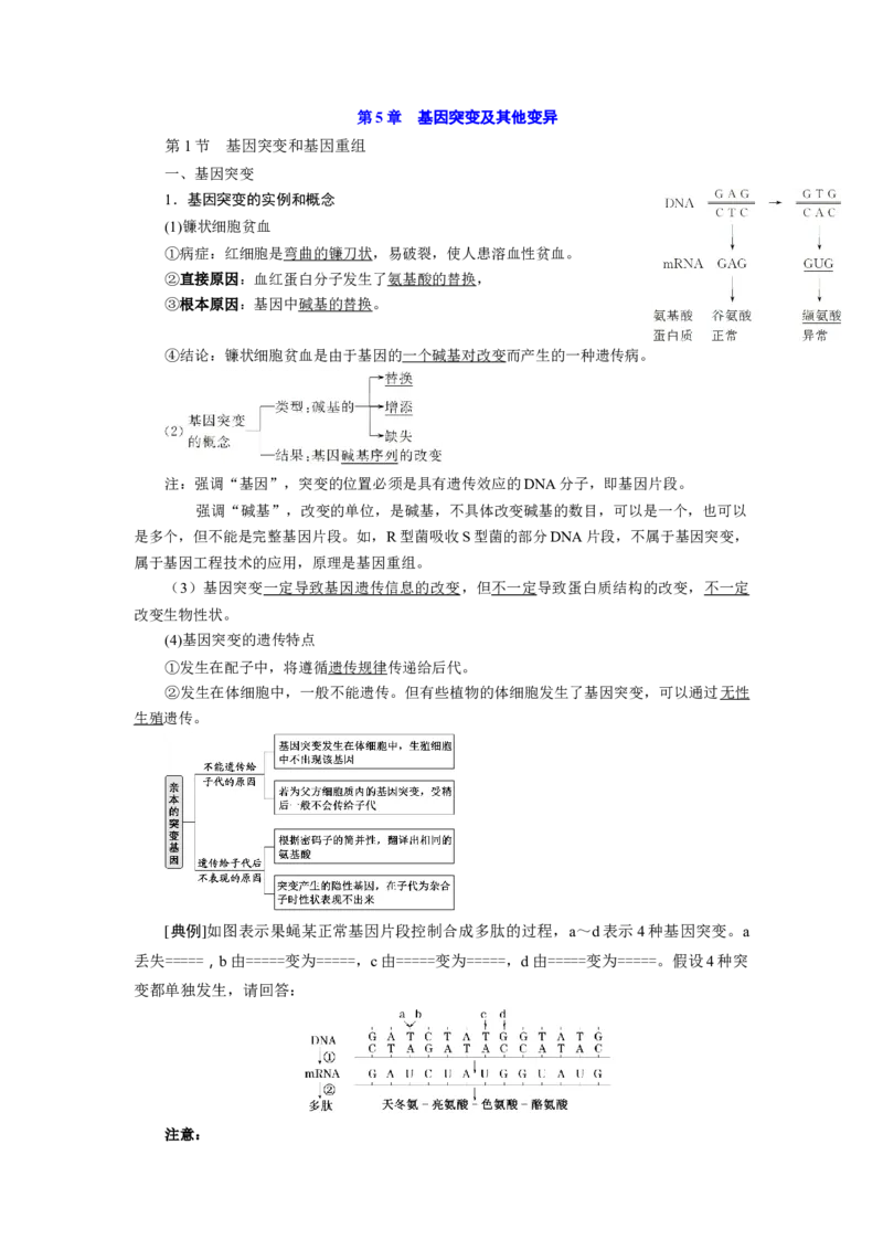第5章基因突变及其他变异-知识点总结-2021-2022学年高中生物新教材人教版必修2&nbsp;&nbsp;&nbsp;_高中三年全科资料_高中_1高中基础资料包_A-高中必背9科知识点_生物