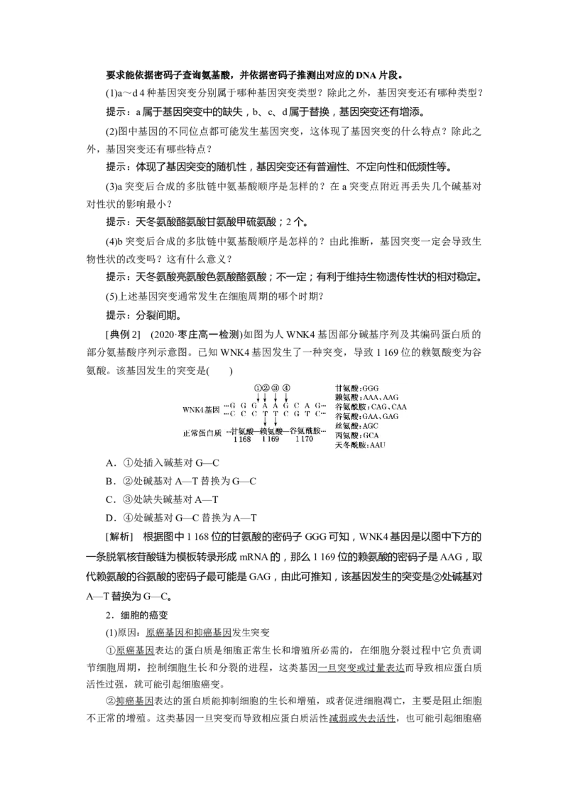 第5章基因突变及其他变异-知识点总结-2021-2022学年高中生物新教材人教版必修2&nbsp;&nbsp;&nbsp;_高中三年全科资料_高中_1高中基础资料包_A-高中必背9科知识点_生物