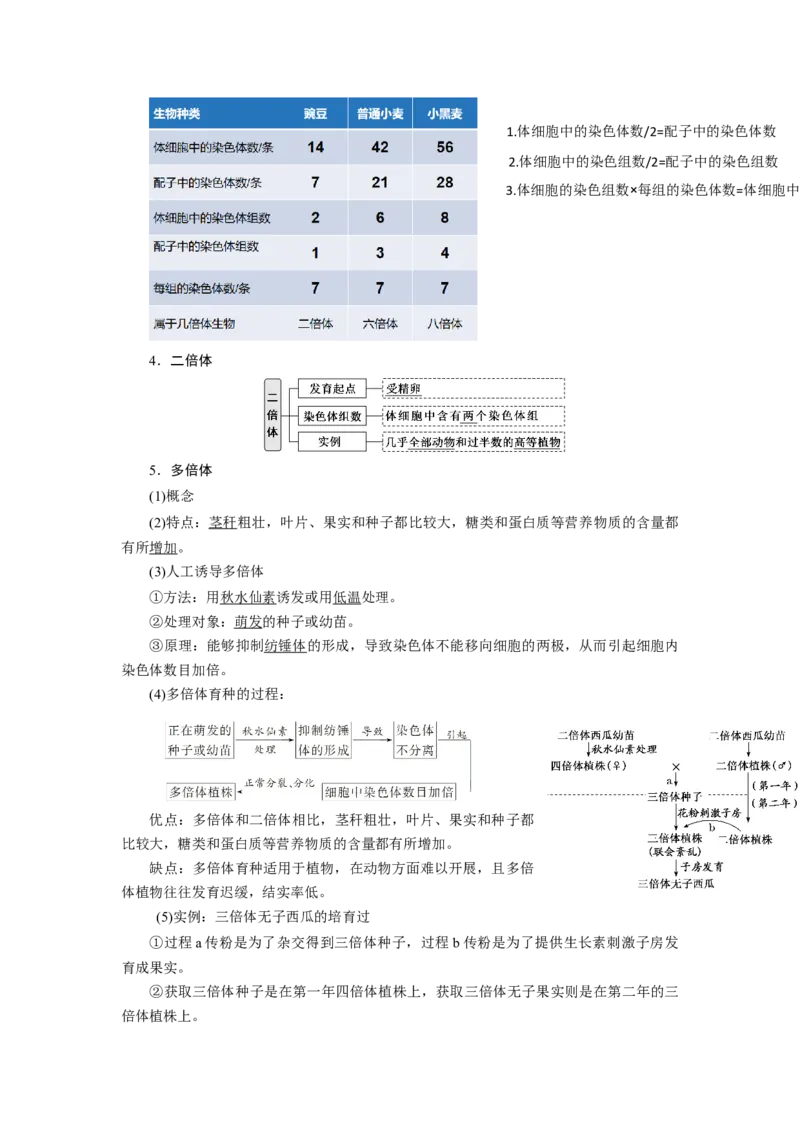 第5章基因突变及其他变异-知识点总结-2021-2022学年高中生物新教材人教版必修2&nbsp;&nbsp;&nbsp;_高中三年全科资料_高中_1高中基础资料包_A-高中必背9科知识点_生物