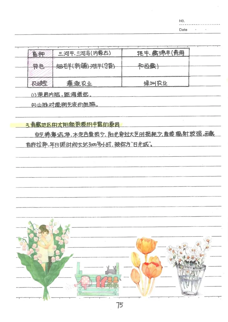 2026《状元笔记》初中地理_2026中考押题卷合集_2026新中考中考全科资料