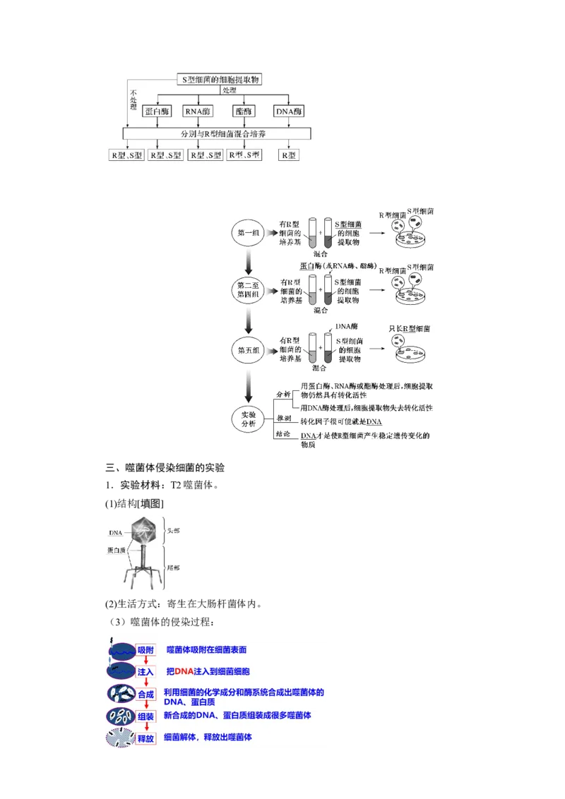 第3章基因的本质-知识点总结-2021-2022学年高中生物新教材人教版必修2&nbsp;&nbsp;&nbsp;_高中三年全科资料_高中_1高中基础资料包_A-高中必背9科知识点_生物_高中生物全书知识点梳理+总结