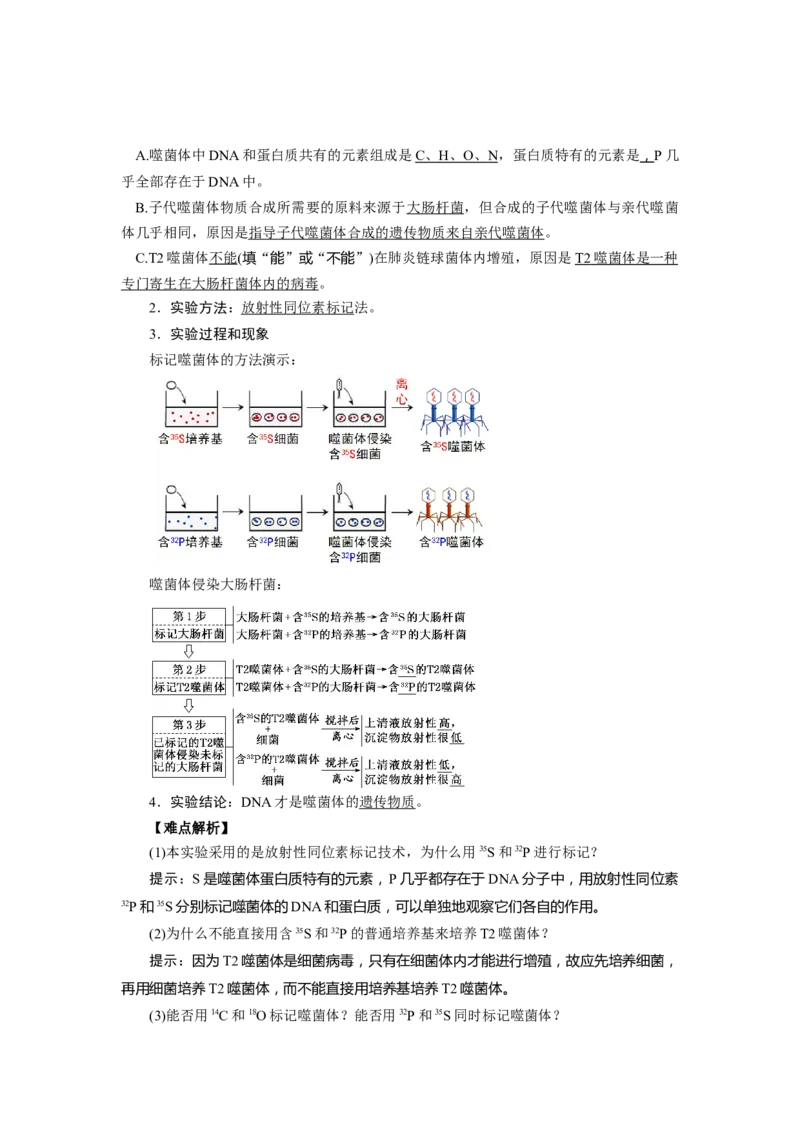 第3章基因的本质-知识点总结-2021-2022学年高中生物新教材人教版必修2&nbsp;&nbsp;&nbsp;_高中三年全科资料_高中_1高中基础资料包_A-高中必背9科知识点_生物_高中生物全书知识点梳理+总结