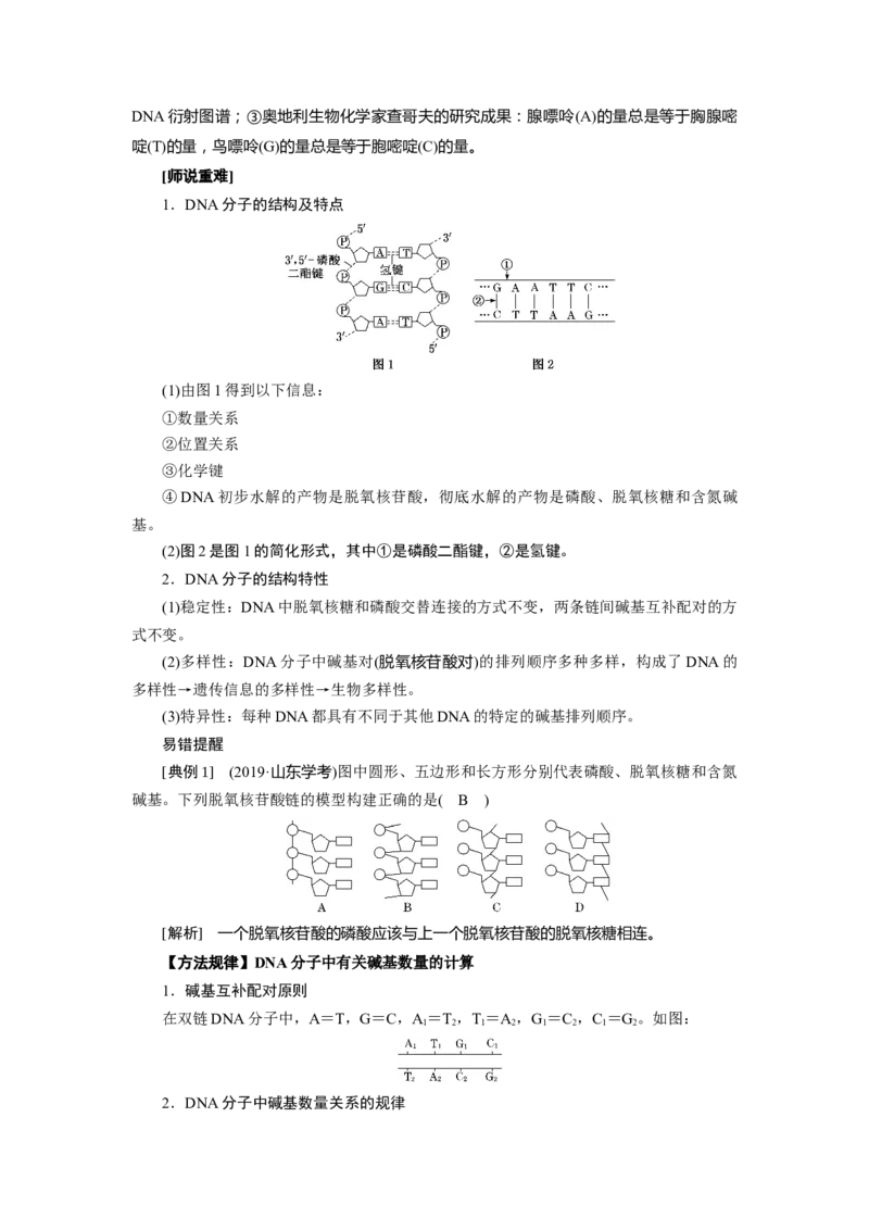 第3章基因的本质-知识点总结-2021-2022学年高中生物新教材人教版必修2&nbsp;&nbsp;&nbsp;_高中三年全科资料_高中_1高中基础资料包_A-高中必背9科知识点_生物_高中生物全书知识点梳理+总结