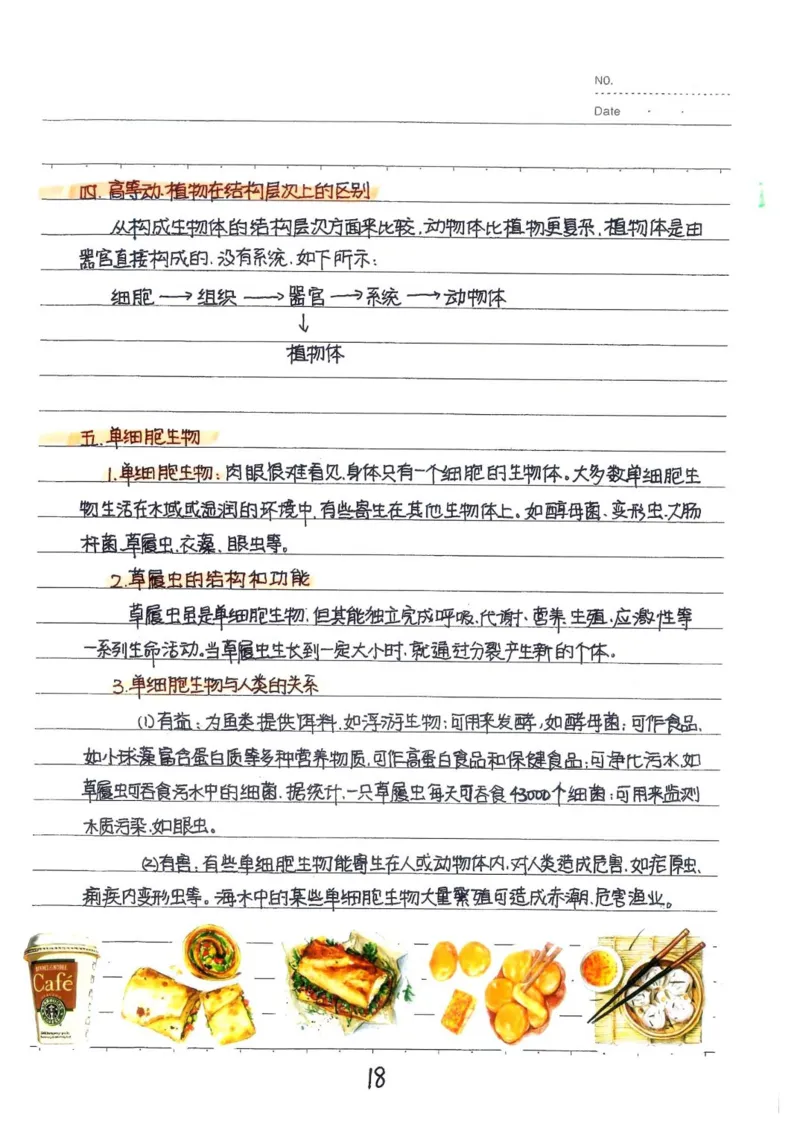 2026《状元笔记》初中生物_2026中考押题卷合集_2026新中考中考全科资料