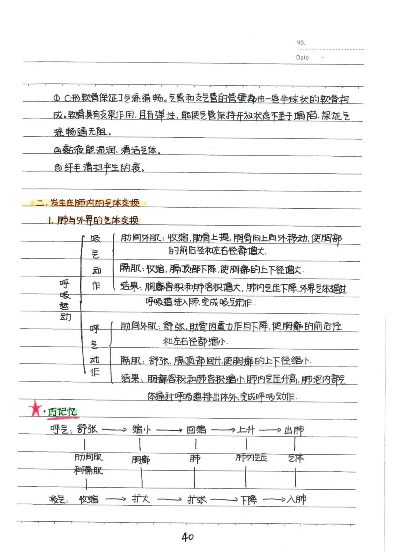 2026《状元笔记》初中生物_2026中考押题卷合集_2026新中考中考全科资料