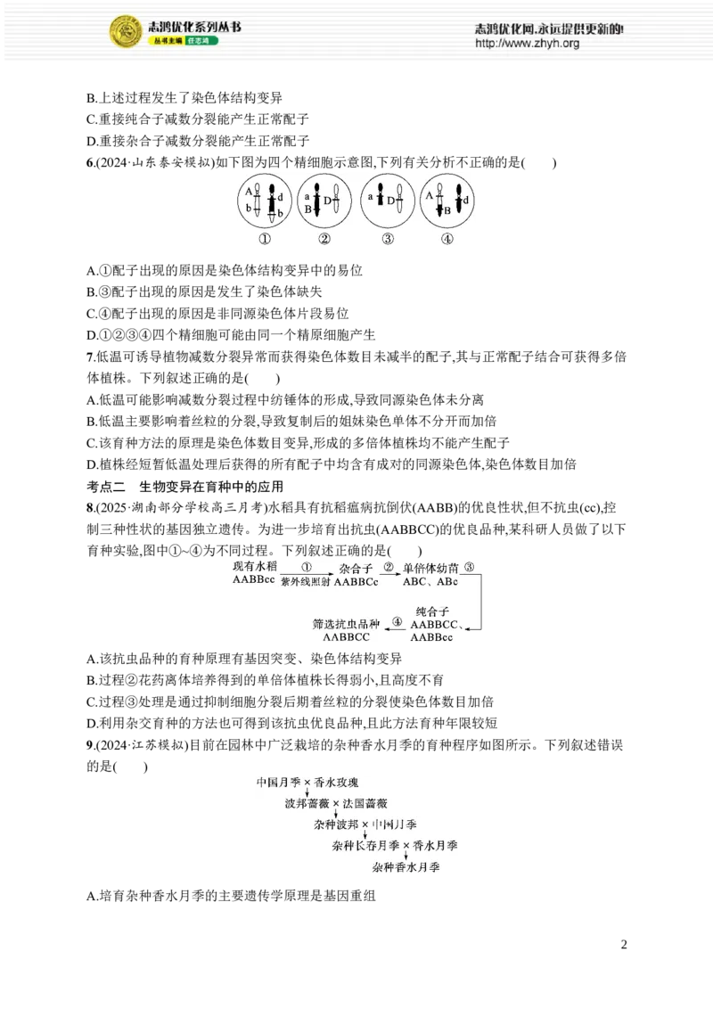 课时规范练33　染色体变异与育种_高中三年全科资料_高中_高中1_2026版《优化设计》新高考版一轮（生物+数学）_2026优化设计一轮复习(生物)_高考总复习优化设计一轮用书生物H配人教版word
