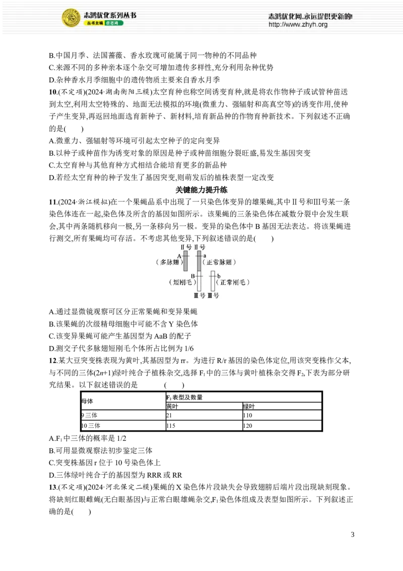 课时规范练33　染色体变异与育种_高中三年全科资料_高中_高中1_2026版《优化设计》新高考版一轮（生物+数学）_2026优化设计一轮复习(生物)_高考总复习优化设计一轮用书生物H配人教版word