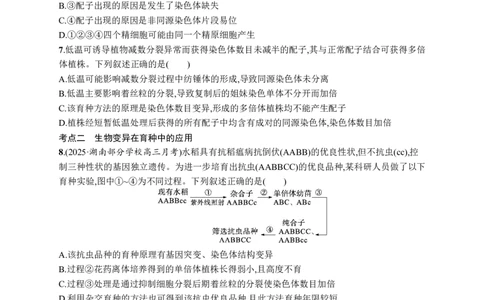 课时规范练33　染色体变异与育种_高中三年全科资料_高中_高中1_2026版《优化设计》新高考版一轮（生物+数学）_2026优化设计一轮复习(生物)_高考总复习优化设计一轮用书生物H配人教版word