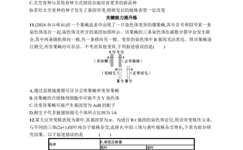 课时规范练33　染色体变异与育种_高中三年全科资料_高中_高中1_2026版《优化设计》新高考版一轮（生物+数学）_2026优化设计一轮复习(生物)_高考总复习优化设计一轮用书生物H配人教版word