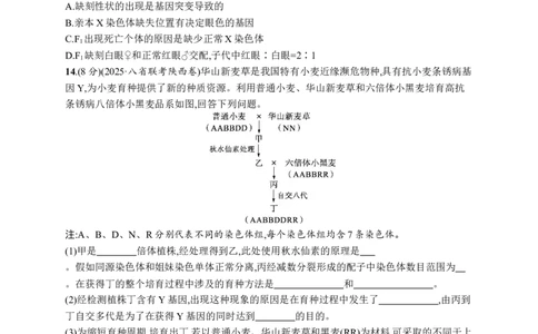 课时规范练33　染色体变异与育种_高中三年全科资料_高中_高中1_2026版《优化设计》新高考版一轮（生物+数学）_2026优化设计一轮复习(生物)_高考总复习优化设计一轮用书生物H配人教版word