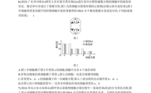 课时规范练20　减数分裂与有丝分裂的比较_高中三年全科资料_高中_高中1_2026版《优化设计》新高考版一轮（生物+数学）_2026优化设计一轮复习(生物)_课后习题