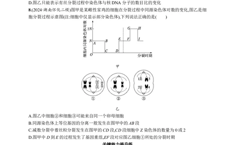 课时规范练20　减数分裂与有丝分裂的比较_高中三年全科资料_高中_高中1_2026版《优化设计》新高考版一轮（生物+数学）_2026优化设计一轮复习(生物)_课后习题