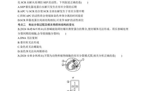 课时规范练18　细胞增殖的周期性和有丝分裂_高中三年全科资料_高中_高中1_2026版《优化设计》新高考版一轮（生物+数学）_2026优化设计一轮复习(生物)_课后习题