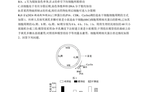 课时规范练18　细胞增殖的周期性和有丝分裂_高中三年全科资料_高中_高中1_2026版《优化设计》新高考版一轮（生物+数学）_2026优化设计一轮复习(生物)_课后习题
