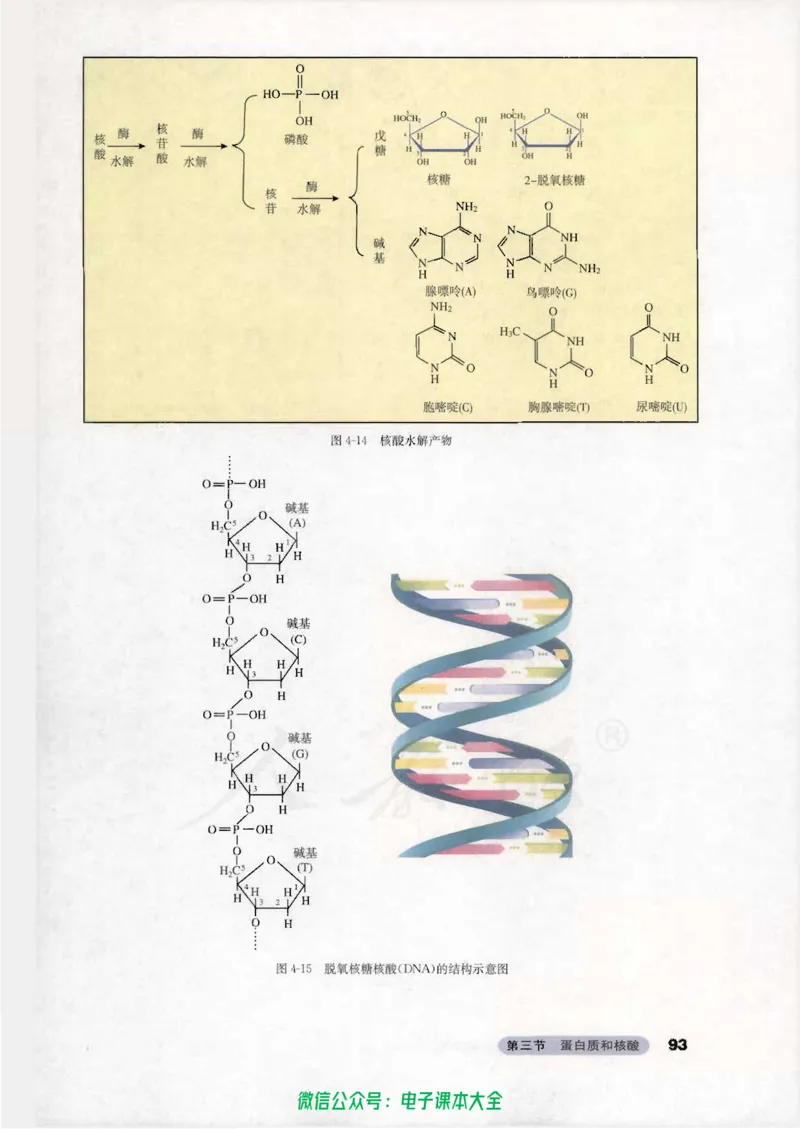 选修5《有机化学基础》_高中三年全科资料_高中_高中电子教材_旧教材_高中化学（人教旧版）