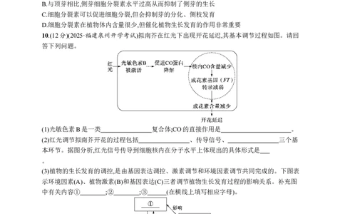 课时规范练45　环境因素参与调节植物的生命活动_高中三年全科资料_高中_高中1_2026版《优化设计》新高考版一轮（生物+数学）_2026优化设计一轮复习(生物)_课后习题