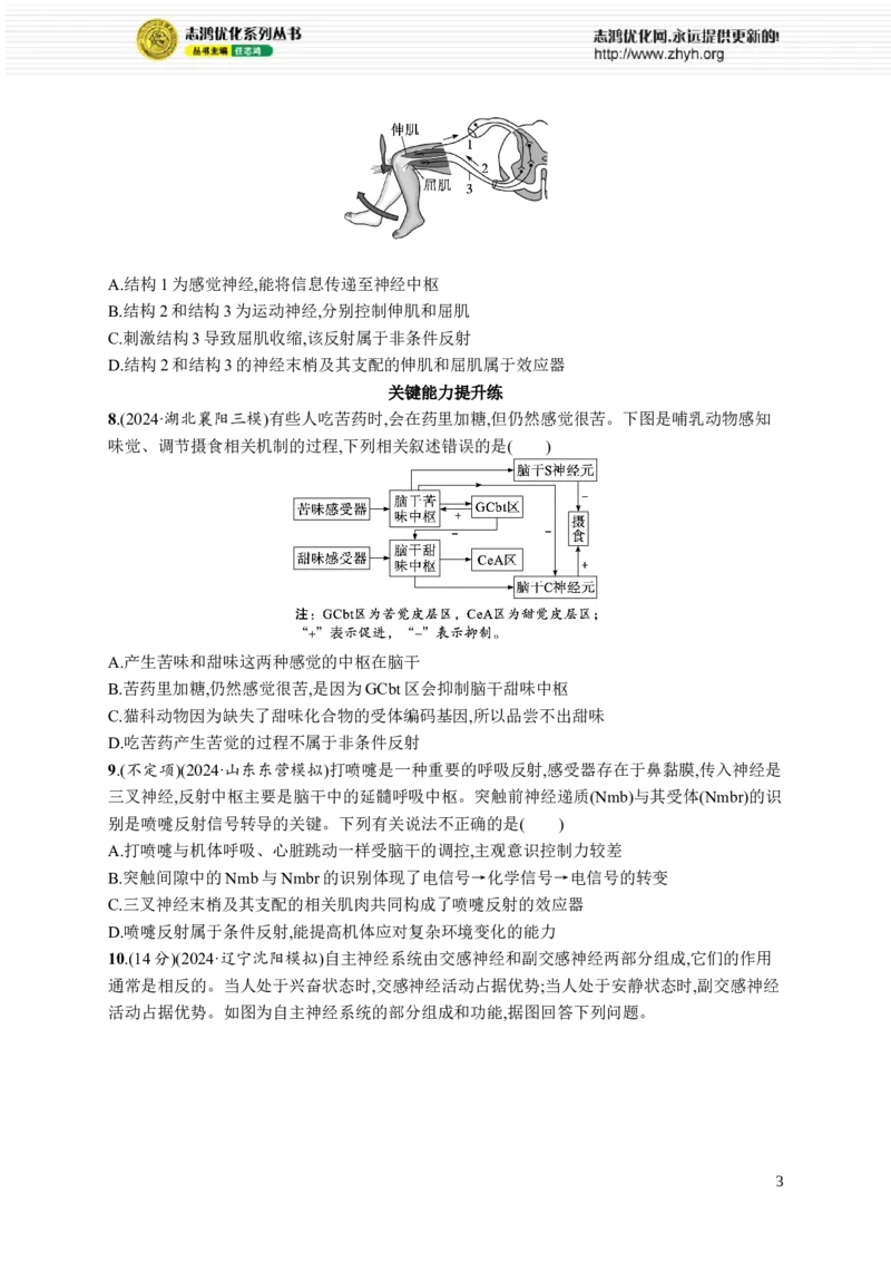 课时规范练36　神经调节的结构基础及基本方式_高中三年全科资料_高中_高中1_2026版《优化设计》新高考版一轮（生物+数学）_2026优化设计一轮复习(生物)_课后习题