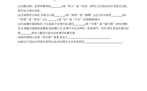 课时规范练36　神经调节的结构基础及基本方式_高中三年全科资料_高中_高中1_2026版《优化设计》新高考版一轮（生物+数学）_2026优化设计一轮复习(生物)_课后习题