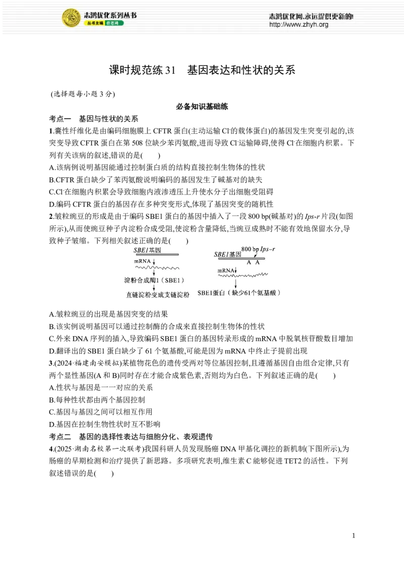 课时规范练31　基因表达和性状的关系_高中三年全科资料_高中_高中1_2026版《优化设计》新高考版一轮（生物+数学）_2026优化设计一轮复习(生物)_课后习题