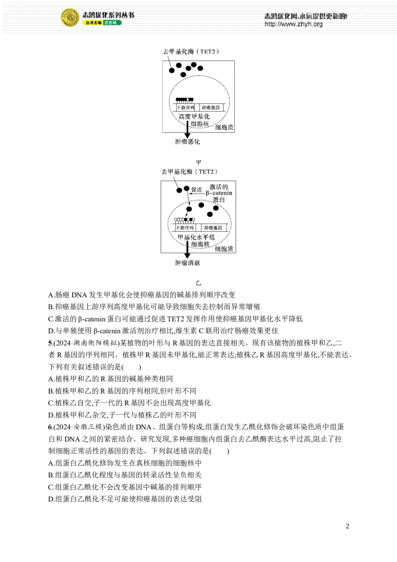 课时规范练31　基因表达和性状的关系_高中三年全科资料_高中_高中1_2026版《优化设计》新高考版一轮（生物+数学）_2026优化设计一轮复习(生物)_课后习题