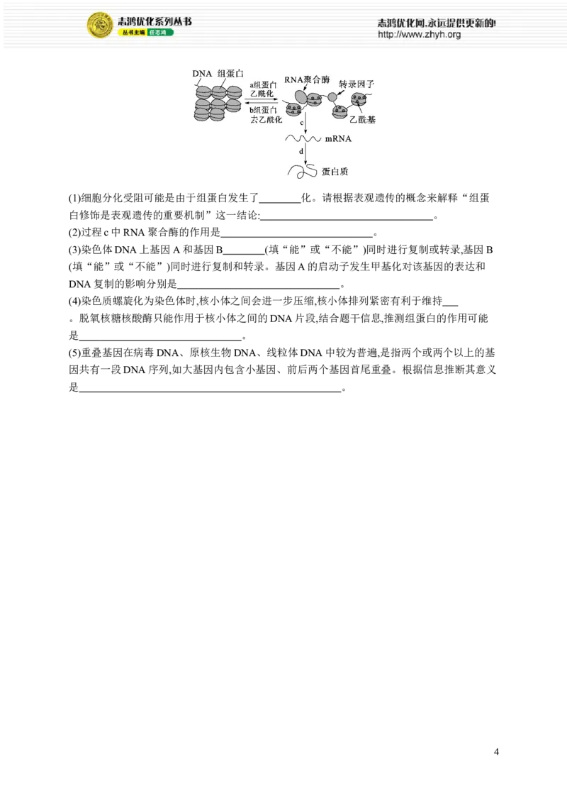 课时规范练31　基因表达和性状的关系_高中三年全科资料_高中_高中1_2026版《优化设计》新高考版一轮（生物+数学）_2026优化设计一轮复习(生物)_课后习题