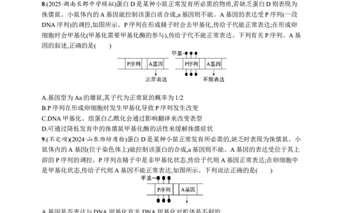 课时规范练31　基因表达和性状的关系_高中三年全科资料_高中_高中1_2026版《优化设计》新高考版一轮（生物+数学）_2026优化设计一轮复习(生物)_课后习题