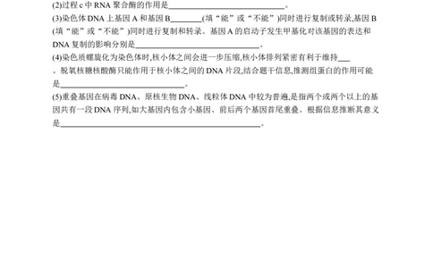 课时规范练31　基因表达和性状的关系_高中三年全科资料_高中_高中1_2026版《优化设计》新高考版一轮（生物+数学）_2026优化设计一轮复习(生物)_课后习题