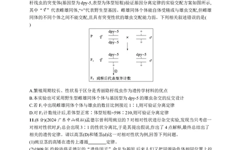 课时规范练22　分离定律的发现及应用_高中三年全科资料_高中_高中1_2026版《优化设计》新高考版一轮（生物+数学）_2026优化设计一轮复习(生物)_课后习题