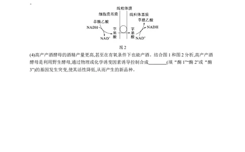 课时规范练12　细胞呼吸的原理和过程_高中三年全科资料_高中_高中1_2026版《优化设计》新高考版一轮（生物+数学）_2026优化设计一轮复习(生物)_课后习题