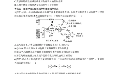 课时规范练39　激素与内分泌系统及激素调节的过程_高中三年全科资料_高中_高中1_2026版《优化设计》新高考版一轮（生物+数学）_2026优化设计一轮复习(生物)_课后习题