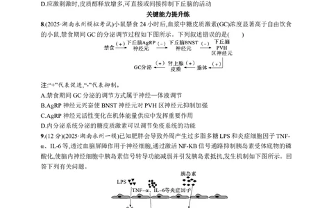 课时规范练39　激素与内分泌系统及激素调节的过程_高中三年全科资料_高中_高中1_2026版《优化设计》新高考版一轮（生物+数学）_2026优化设计一轮复习(生物)_课后习题