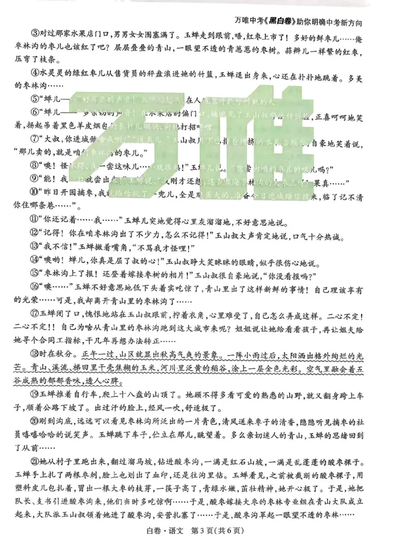 2026年河南省黑白卷语文试题及答案(1)_中考押题2026《中考押题》系列（9科全套实时更新中）_万唯2026版初中《万唯黑白卷》7科全套（河南）