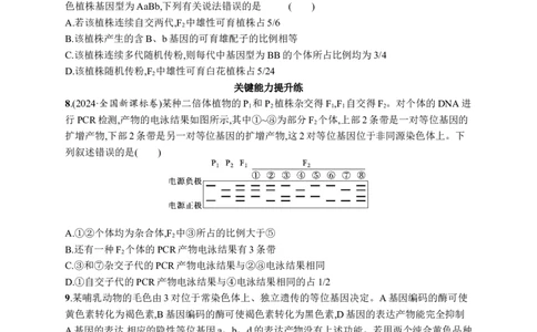 课时规范练25　自由组合定律的解题规律及应用_高中三年全科资料_高中_高中1_2026版《优化设计》新高考版一轮（生物+数学）_2026优化设计一轮复习(生物)_课后习题