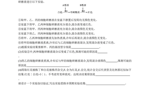 课时规范练25　自由组合定律的解题规律及应用_高中三年全科资料_高中_高中1_2026版《优化设计》新高考版一轮（生物+数学）_2026优化设计一轮复习(生物)_课后习题