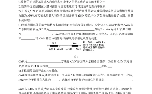 课时规范练61　基因工程的应用及蛋白质工程_高中三年全科资料_高中_高中1_2026版《优化设计》新高考版一轮（生物+数学）_2026优化设计一轮复习(生物)_课后习题