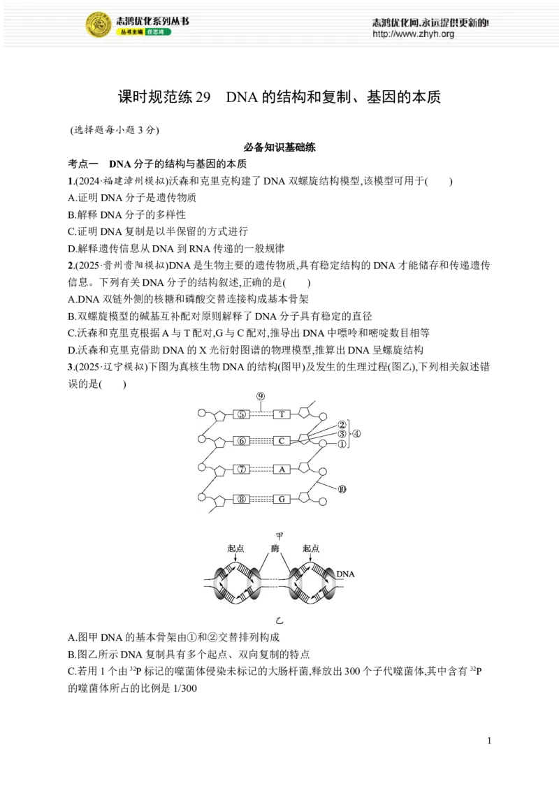 课时规范练29　DNA的结构和复制、基因的本质_高中三年全科资料_高中_高中1_2026版《优化设计》新高考版一轮（生物+数学）_2026优化设计一轮复习(生物)_课后习题