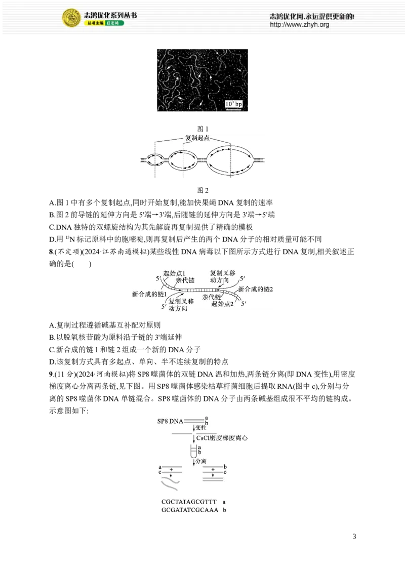 课时规范练29　DNA的结构和复制、基因的本质_高中三年全科资料_高中_高中1_2026版《优化设计》新高考版一轮（生物+数学）_2026优化设计一轮复习(生物)_课后习题