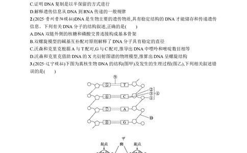 课时规范练29　DNA的结构和复制、基因的本质_高中三年全科资料_高中_高中1_2026版《优化设计》新高考版一轮（生物+数学）_2026优化设计一轮复习(生物)_课后习题