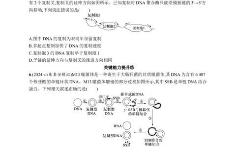 课时规范练29　DNA的结构和复制、基因的本质_高中三年全科资料_高中_高中1_2026版《优化设计》新高考版一轮（生物+数学）_2026优化设计一轮复习(生物)_课后习题