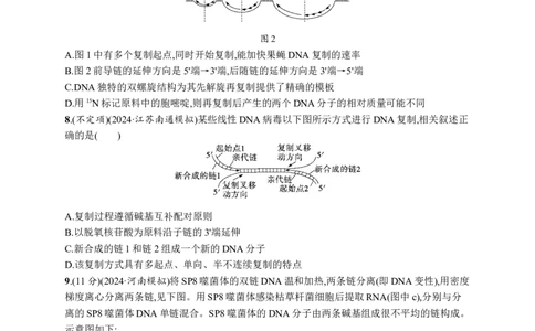 课时规范练29　DNA的结构和复制、基因的本质_高中三年全科资料_高中_高中1_2026版《优化设计》新高考版一轮（生物+数学）_2026优化设计一轮复习(生物)_课后习题