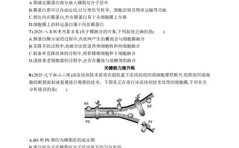 课时规范练5　细胞膜的结构与功能_高中三年全科资料_高中_高中1_2026版《优化设计》新高考版一轮（生物+数学）_2026优化设计一轮复习(生物)_高考总复习优化设计一轮用书生物H配人教版word