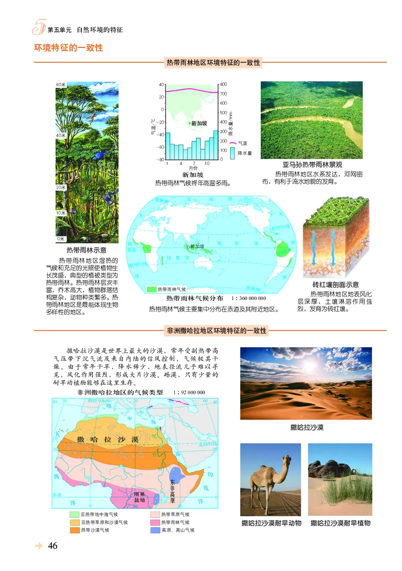 配鲁教版《地理图册》选择性必修1_高中三年全科资料_高中_高中电子教材_高中地理_地理图册_配鲁教版