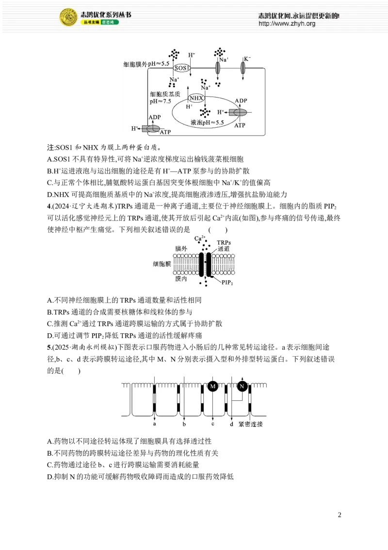 课时规范练9　物质出入细胞的方式及影响因素_高中三年全科资料_高中_高中1_2026版《优化设计》新高考版一轮（生物+数学）_2026优化设计一轮复习(生物)_课后习题