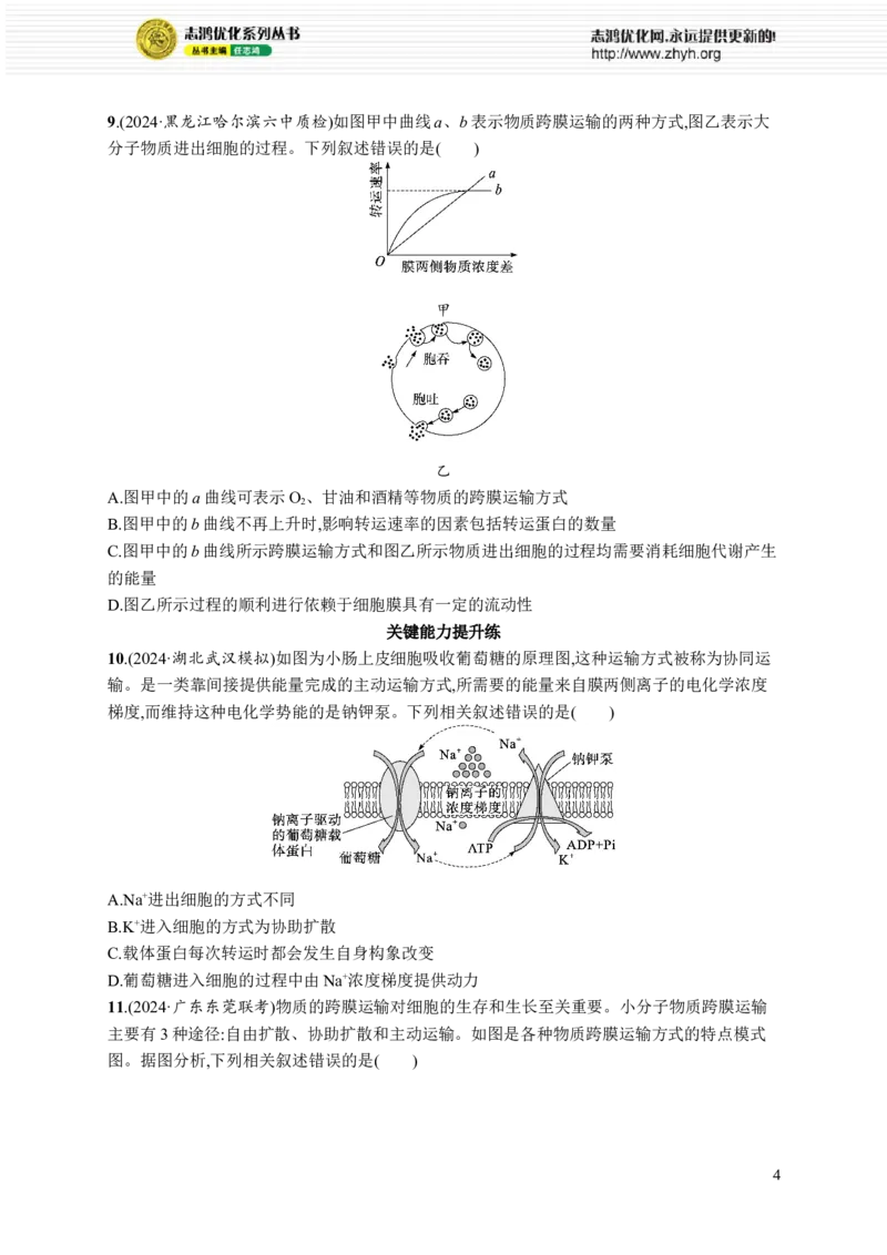 课时规范练9　物质出入细胞的方式及影响因素_高中三年全科资料_高中_高中1_2026版《优化设计》新高考版一轮（生物+数学）_2026优化设计一轮复习(生物)_课后习题