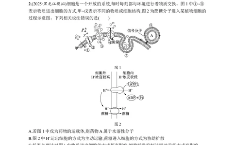 课时规范练9　物质出入细胞的方式及影响因素_高中三年全科资料_高中_高中1_2026版《优化设计》新高考版一轮（生物+数学）_2026优化设计一轮复习(生物)_课后习题