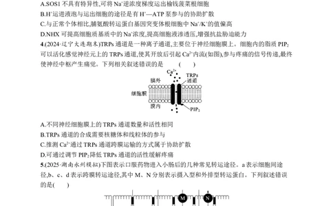 课时规范练9　物质出入细胞的方式及影响因素_高中三年全科资料_高中_高中1_2026版《优化设计》新高考版一轮（生物+数学）_2026优化设计一轮复习(生物)_课后习题