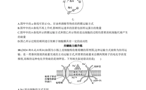课时规范练9　物质出入细胞的方式及影响因素_高中三年全科资料_高中_高中1_2026版《优化设计》新高考版一轮（生物+数学）_2026优化设计一轮复习(生物)_课后习题