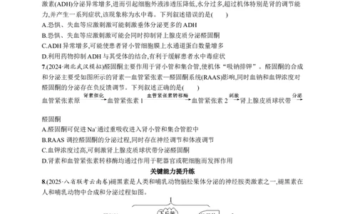 课时规范练40　体液调节与神经调节的关系_高中三年全科资料_高中_高中1_2026版《优化设计》新高考版一轮（生物+数学）_2026优化设计一轮复习(生物)_课后习题