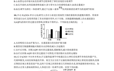 课时规范练40　体液调节与神经调节的关系_高中三年全科资料_高中_高中1_2026版《优化设计》新高考版一轮（生物+数学）_2026优化设计一轮复习(生物)_课后习题